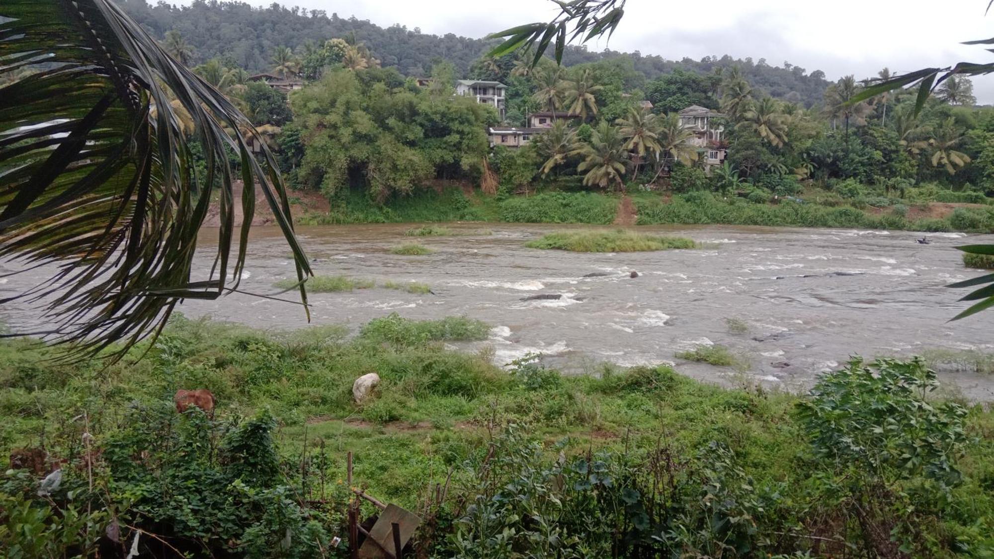 Kandy River Garden エクステリア 写真